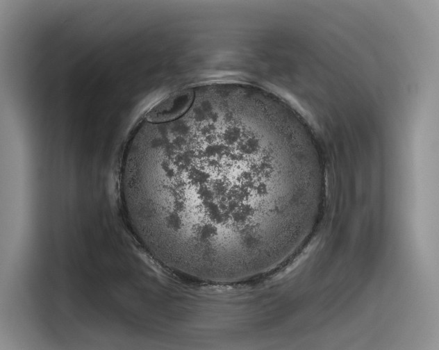 X0000115551405200911061523