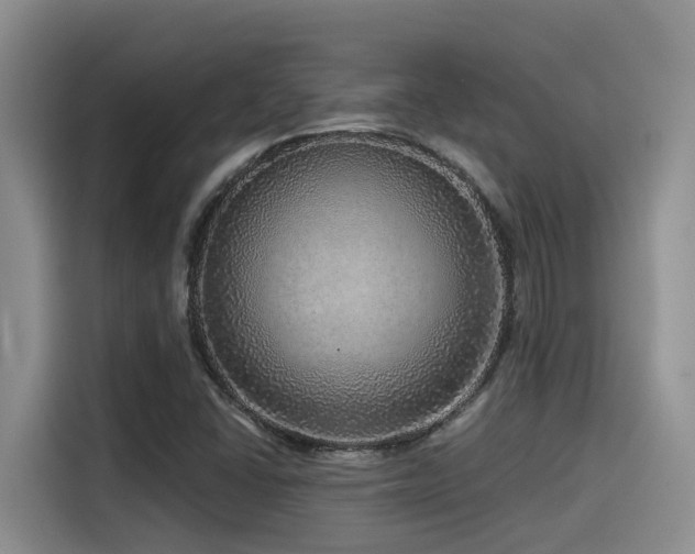 X0000115551406200911061524