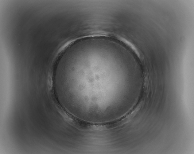 X0000115551407200911061524