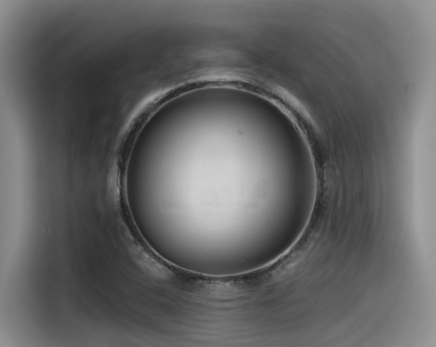 X0000115551408200911061524