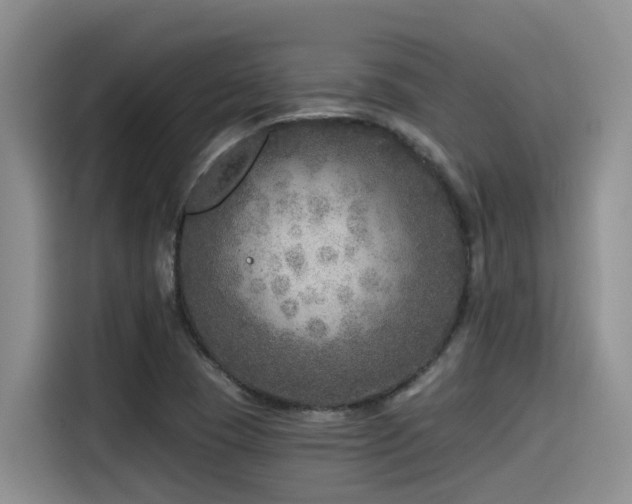 X0000115551409200911061524