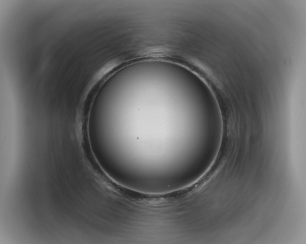 X0000115551410200911061524