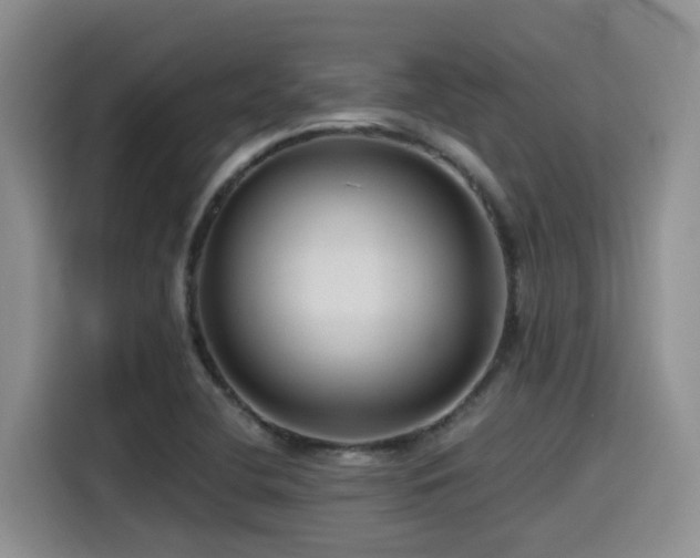 X0000115551412200911061524