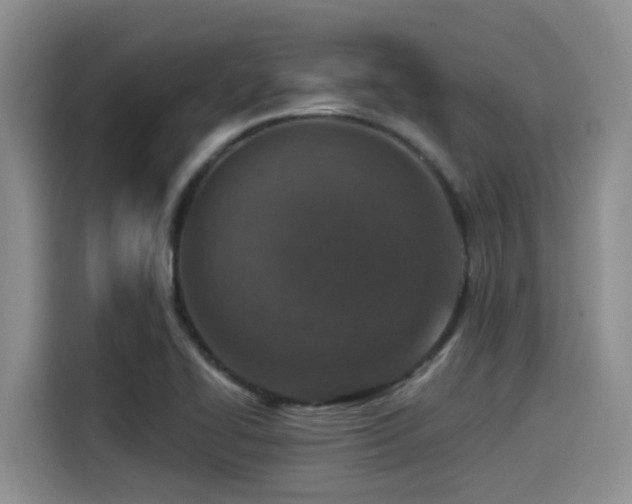 X0000115551414200911061524