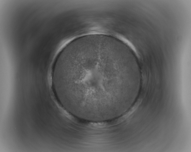 X0000115551415200911061524