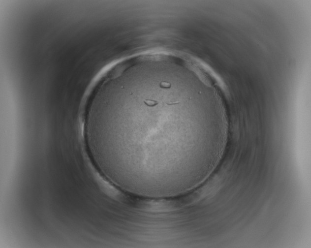 X0000115551416200911061524