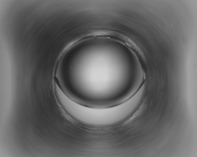 X0000115551417200911061524