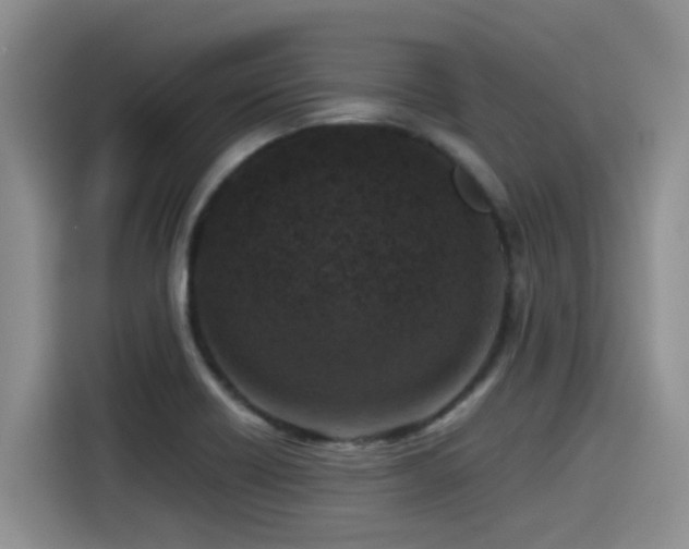 X0000115551418200911061524
