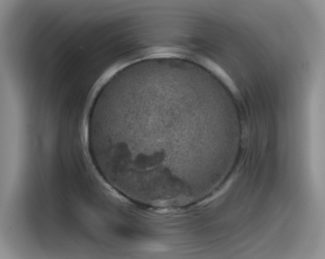 X0000115551419200911061524
