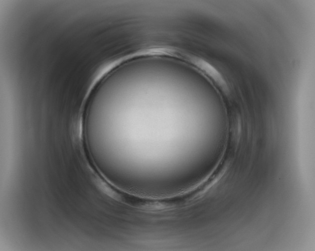 X0000115551420200911061524