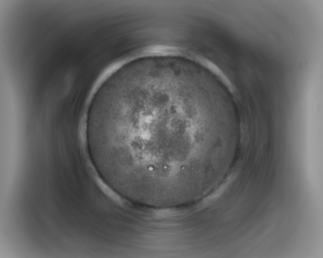X0000115551421200911061524