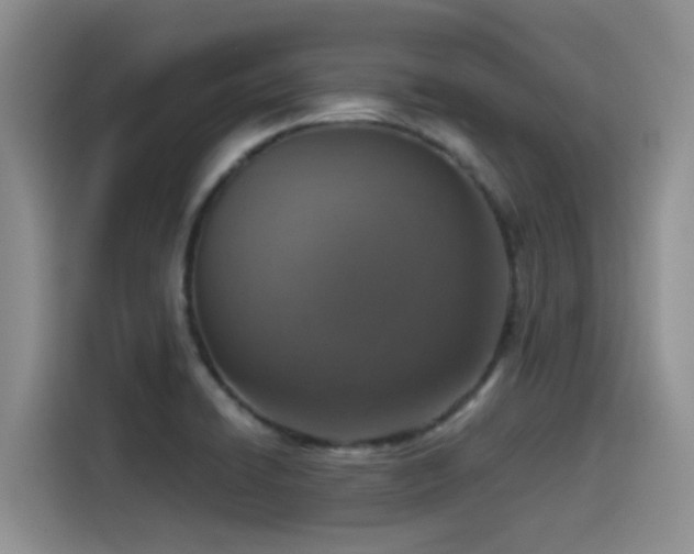 X0000115551422200911061524