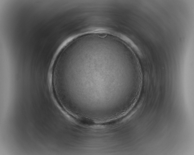 X0000115551424200911061524