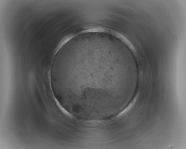 X0000115551425200911061524