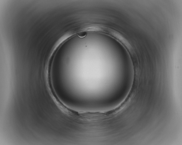 X0000115551426200911061524