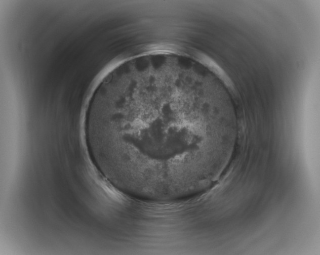 X0000115551427200911061524