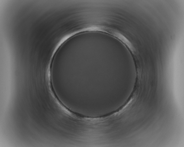 X0000115551428200911061524