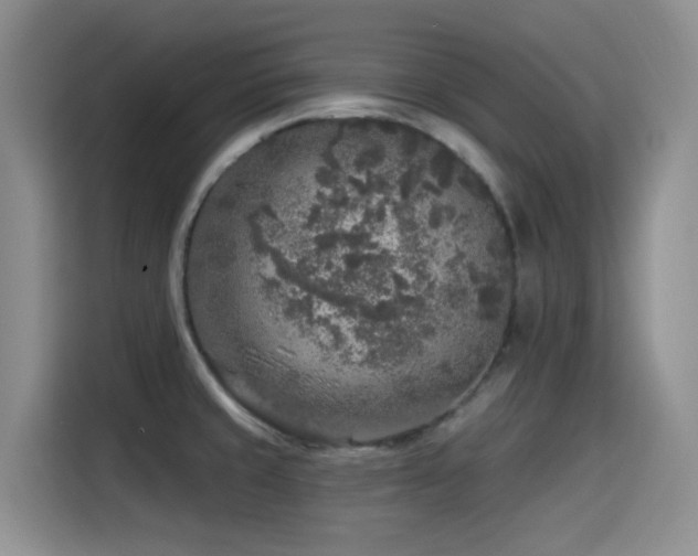 X0000115551429200911061524