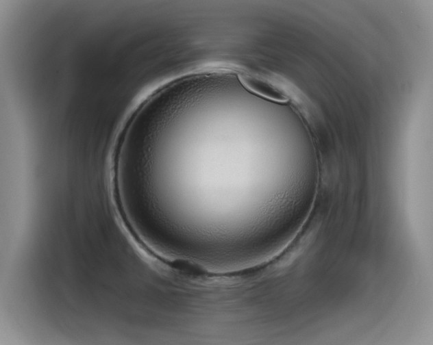 X0000115551430200911061524