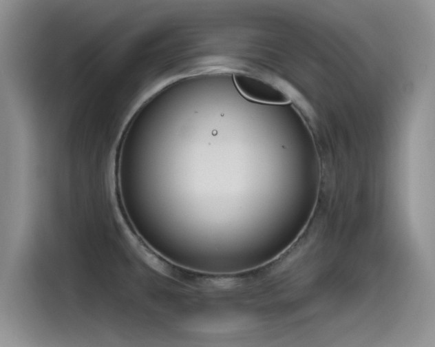 X0000115551431200911061524