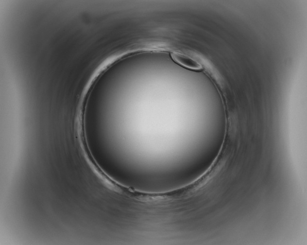 X0000115551432200911061524