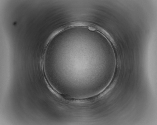 X0000115551433200911061524