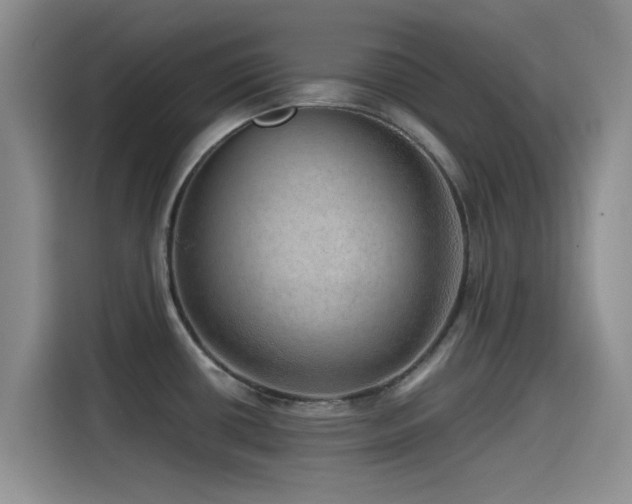 X0000115551434200911061524