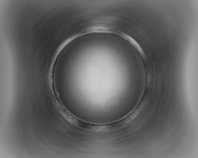X0000115551435200911061524