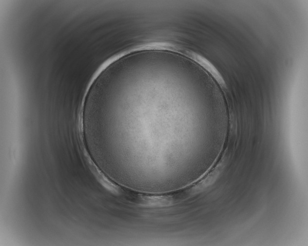 X0000115551436200911061524
