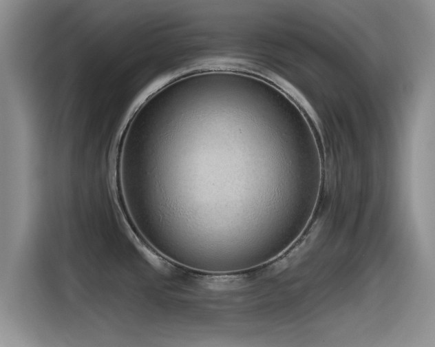 X0000115551437200911061524
