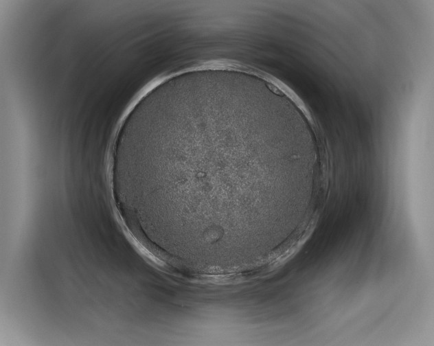 X0000115551438200911061524