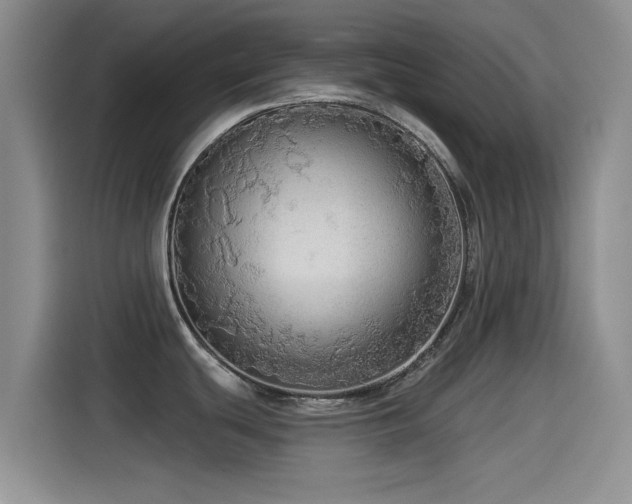X0000115551439200911061524