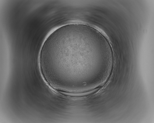 X0000115551440200911061524