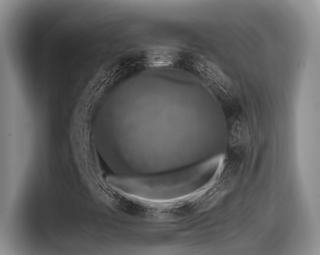 X0000115551441200911061523
