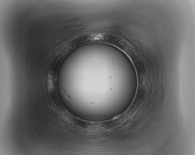 X0000115551442200911061523