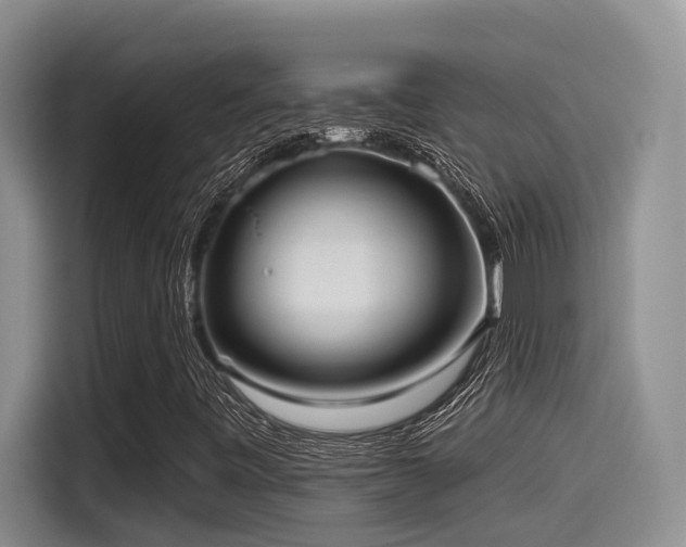 X0000115551443200911061523
