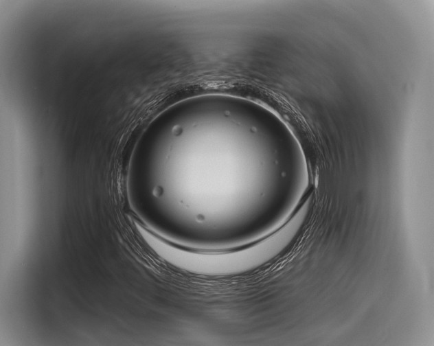 X0000115551444200911061523