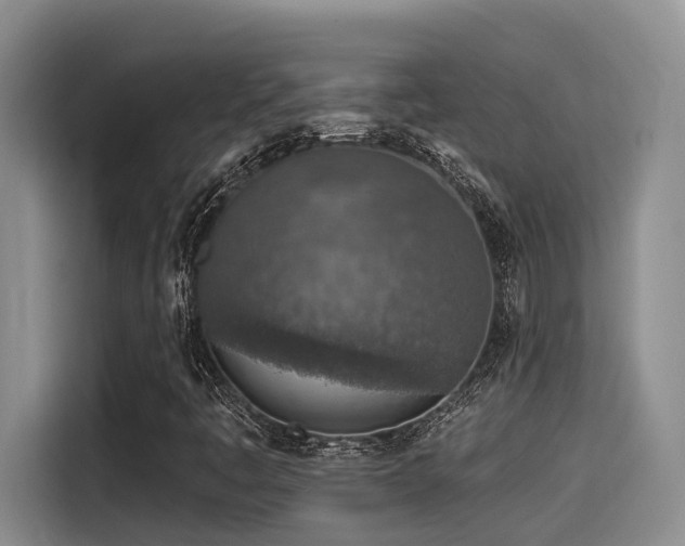X0000115551445200911061523