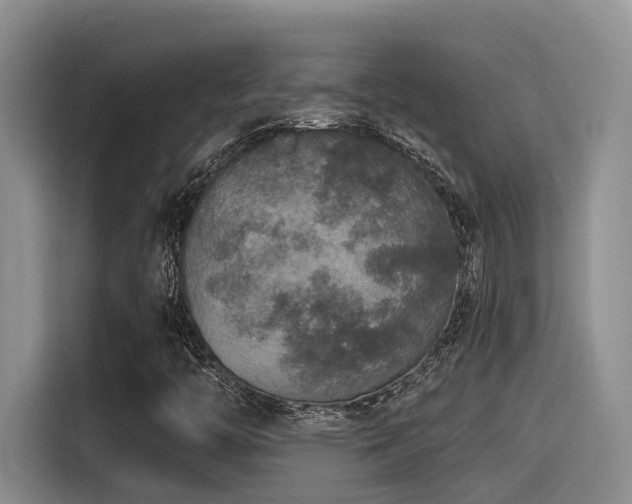 X0000115551446200911061523