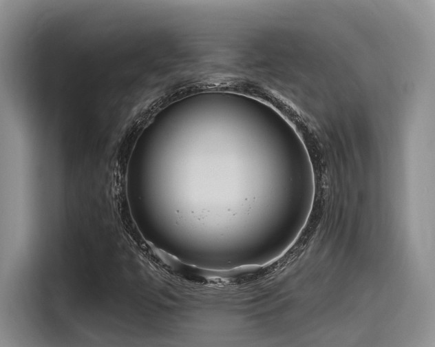 X0000115551447200911061523