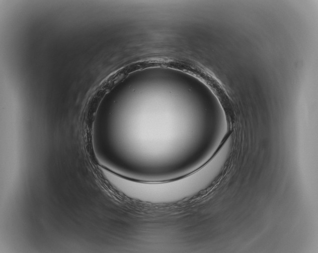 X0000115551448200911061523