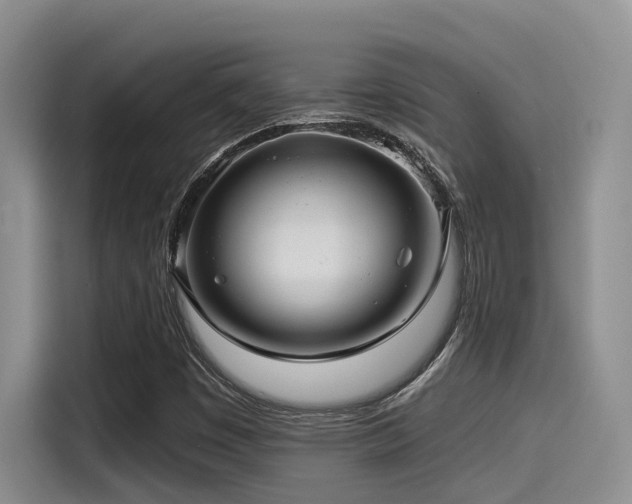 X0000115551449200911061523