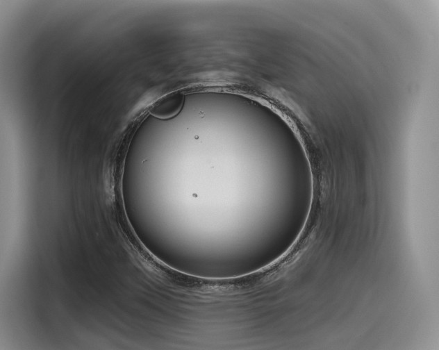 X0000115551451200911061523