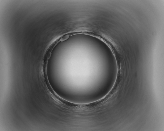 X0000115551452200911061523