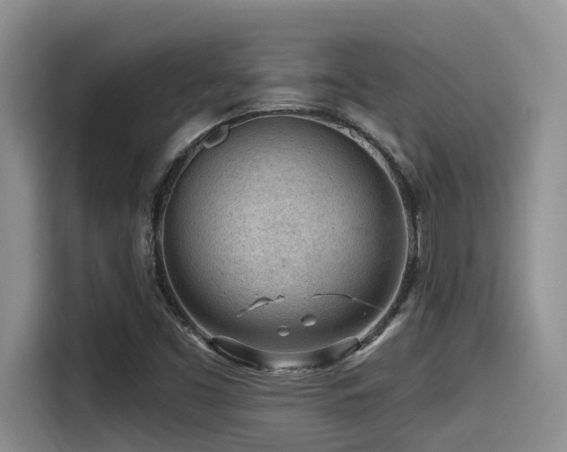 X0000115551453200911061523