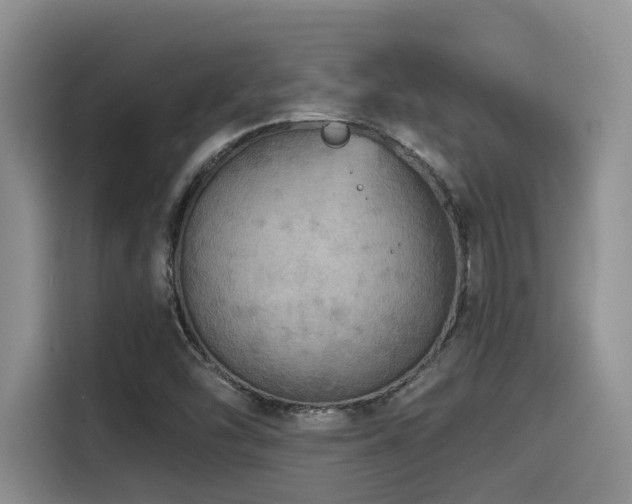X0000115551454200911061523