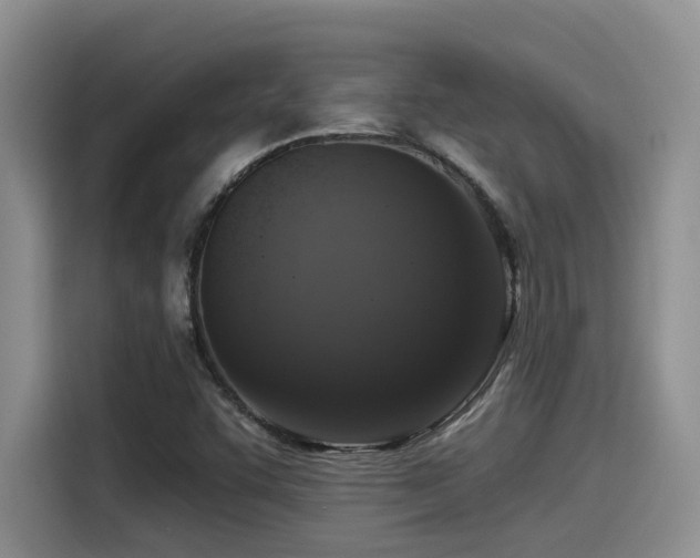 X0000115551455200911061523
