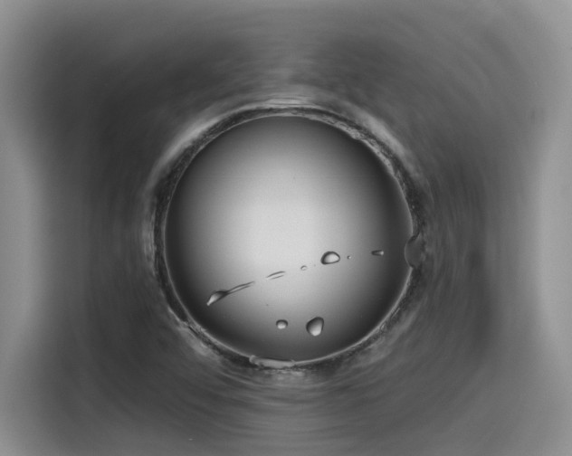 X0000115551456200911061523