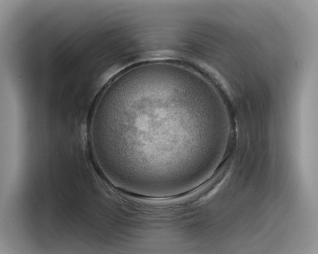 X0000115551457200911061523