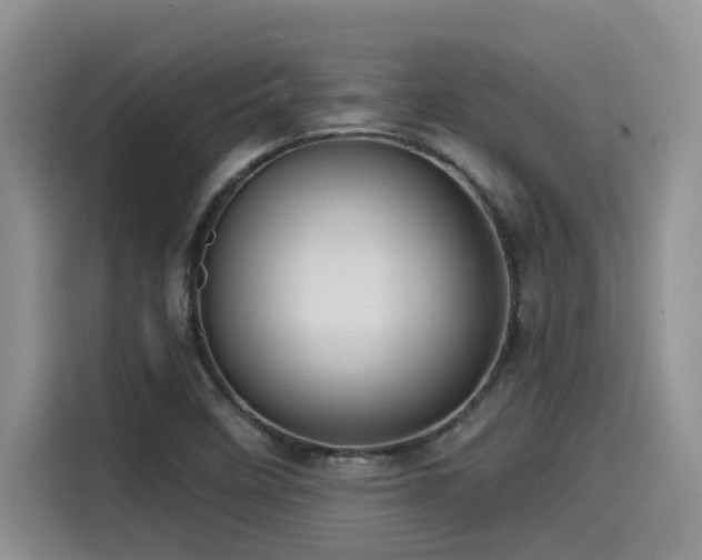 X0000115551458200911061523